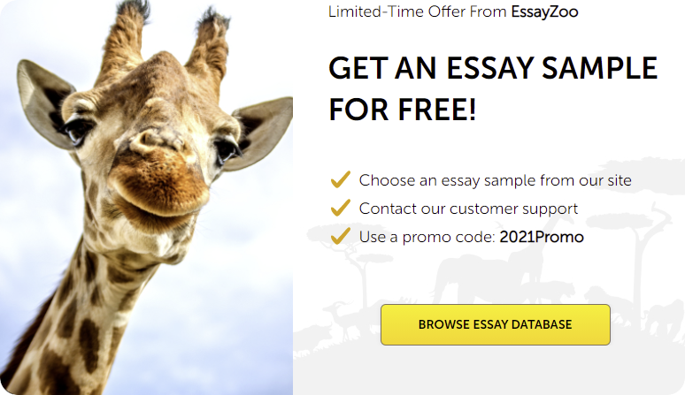 essay zoo