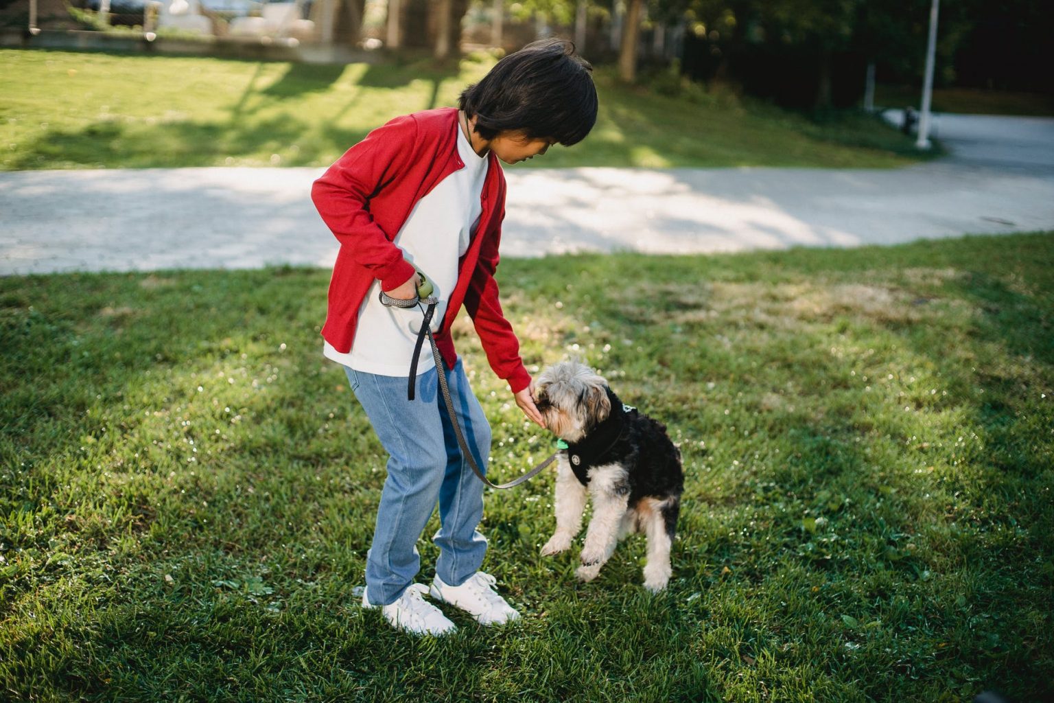 What Should You Major In If You Want To Be A Veterinarian