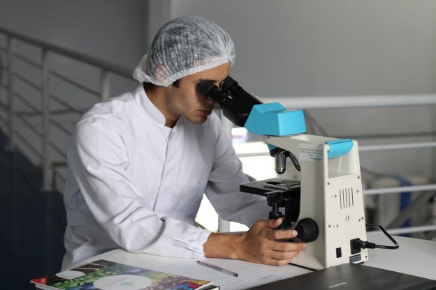 Why Are Lab Rules Important (Essay Sample)