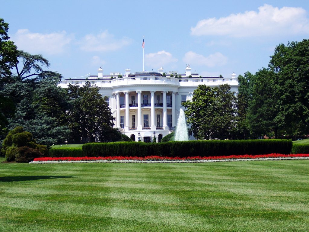 What Would You Do If You Were President: My Ideas