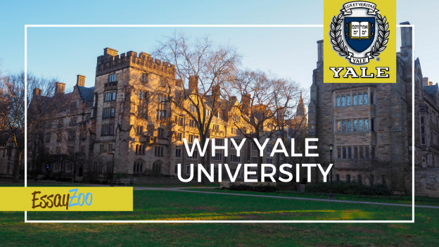 Why Yale Essay