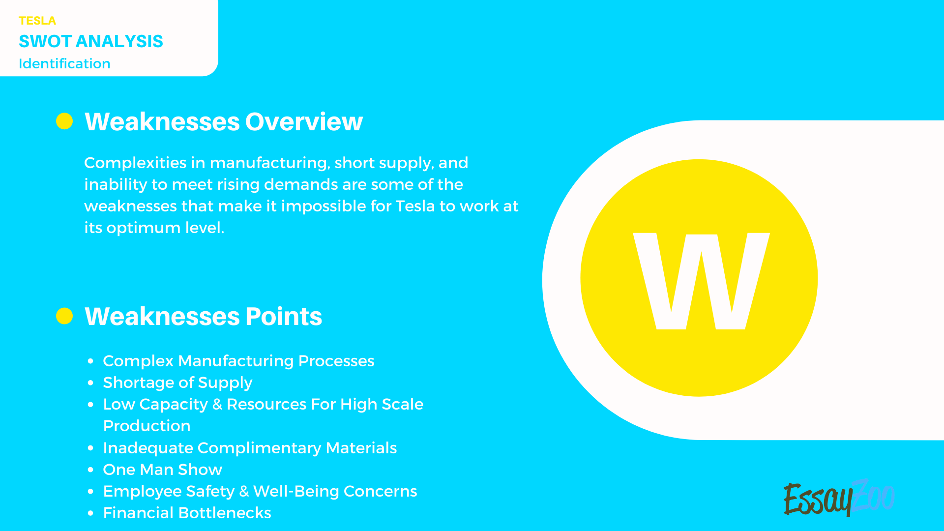 SWOT Analysis On Tesla, Essay Example for Free