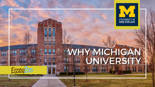 why Michigan University essay